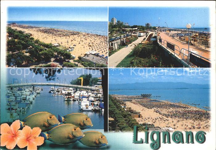 Lignano Strand Promenade Hafen Fische