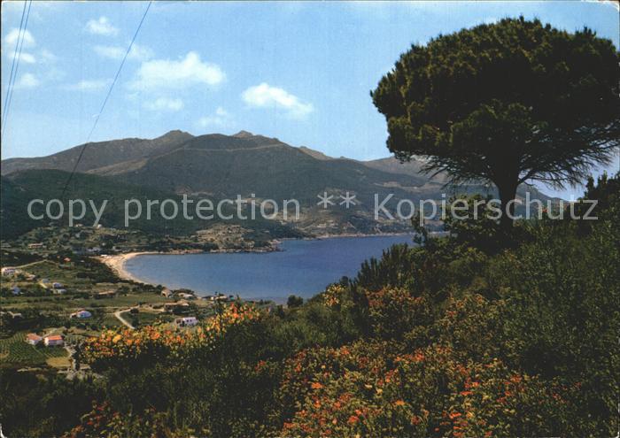 Isola d Elba Panorama Golfo di Procchio