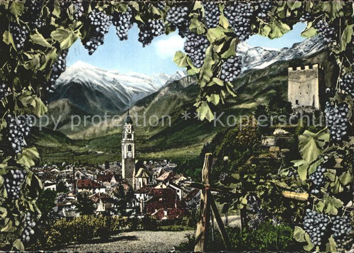 Merano Meran Ortsansicht mit Alpenpanorama Weinreben Weintrauben
