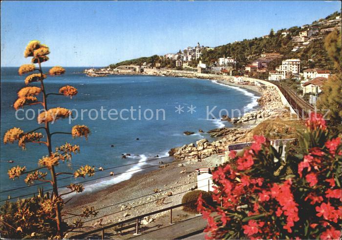 Bordighera Spiaggia Riviera dei Fiori Arziglia Strand Blumen