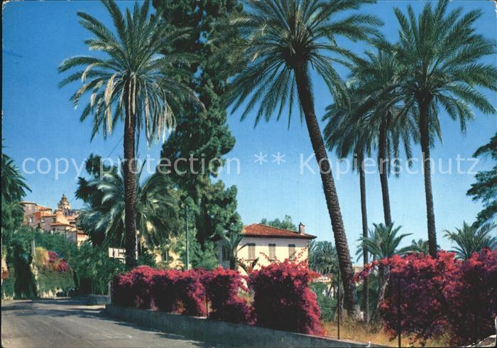 Bordighera Via Romana sfondo citta vecchia Altstadt Palmen