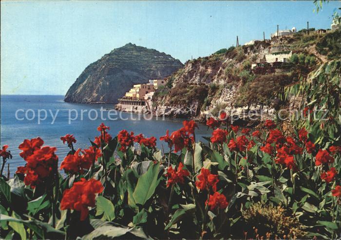 Sant Angelo Ischia Panorama Kueste Blumen