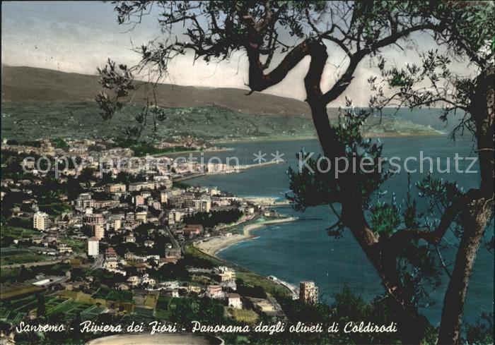 Sanremo Panorama dagli oliveti di Coldirodi Riviera dei Fiori Olivengarten