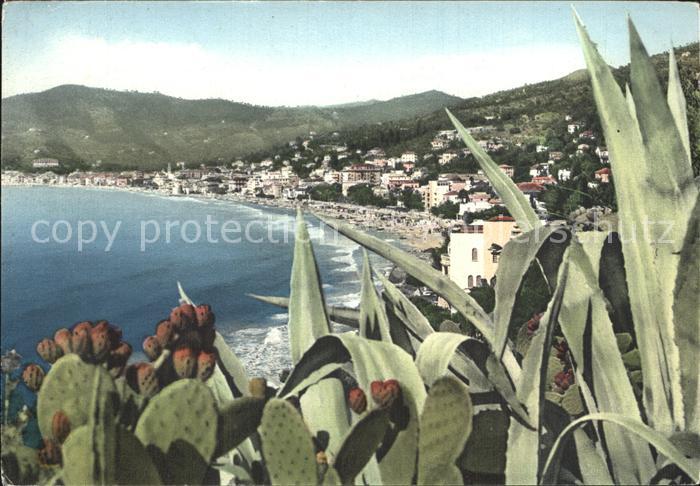 ALAssIO Savona Liguria IT Panorama Riviera dei Fiori