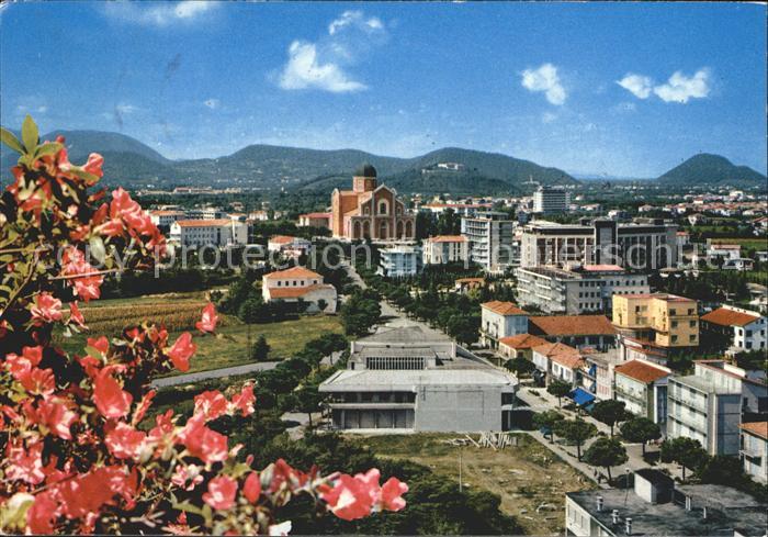 Montegrotto Terme Blick ueber die Stadt Baumbluete