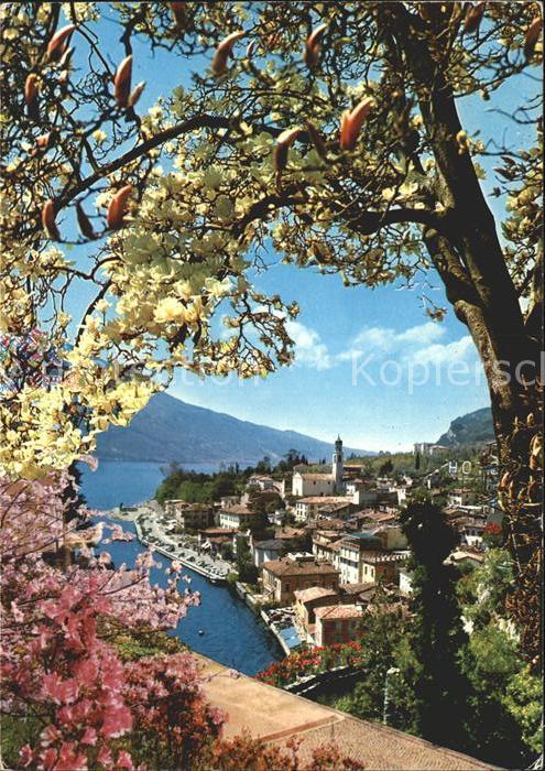 Limone sul Garda Primavera Fruehling Baumbluete Gardasse