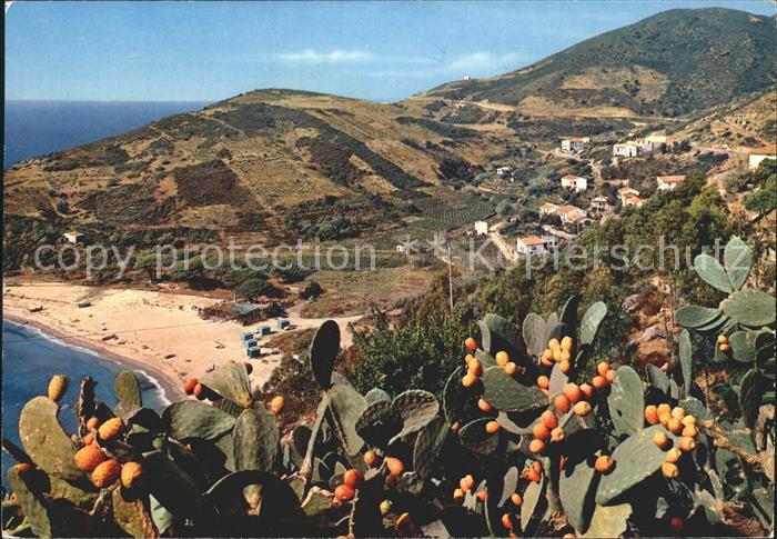 Marina di Campo Fetovaia Strand