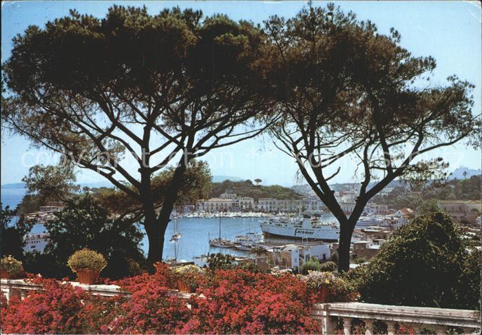 Ischia Porto Hafen