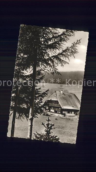 Villingen-Schwenningen Schwarzwaldhof