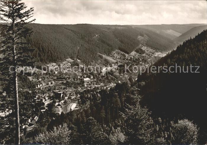 Wildbad Schwarzwald Panorama