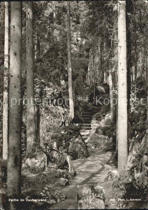 BERCHTESGADEN Bayern Partie im Zauberwald