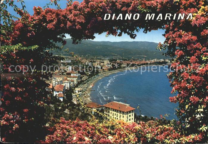 Diano Marina Panorama Golfo Kueste Baumbluete
