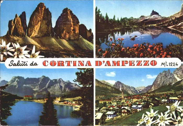 Cortina d Ampezzo Panorama Dolomiten Bergsee Alpenflora Edelweiss