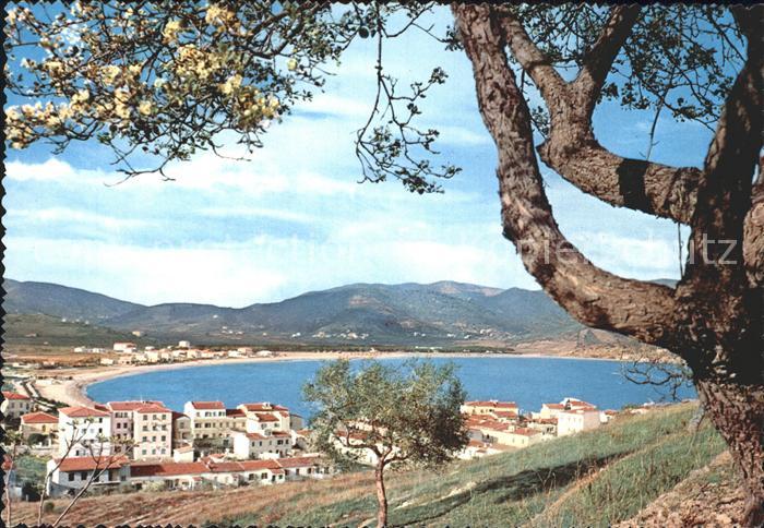 Marina di Campo Panorama Baumbluete