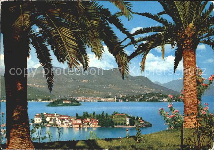 Lago Maggiore Isola Bella Isola Madre e Verbania Pallanza Palmen