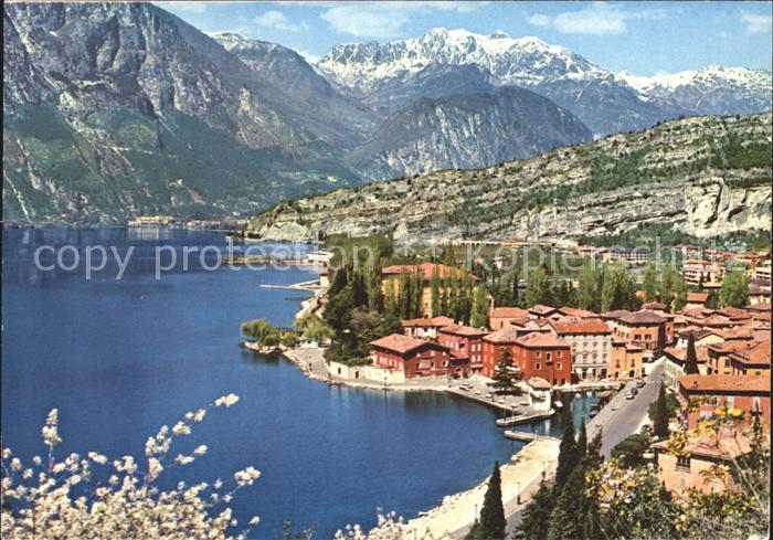 Torbole Lago di Garda Panorama Gardasee Alpen Baumbluete