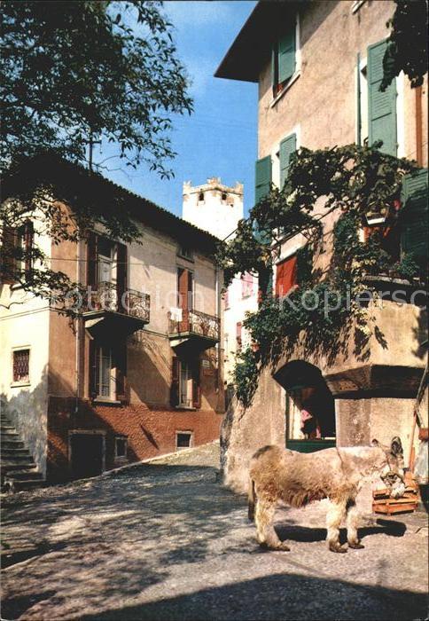 Malcesine Lago di Garda Angelo caratteristico Typische Ecke Gasse Esel