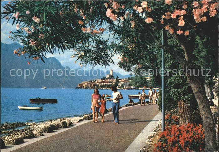 Malcesine Lago di Garda Lungomare Seepromenade Gardasee Baumbluete Alpen