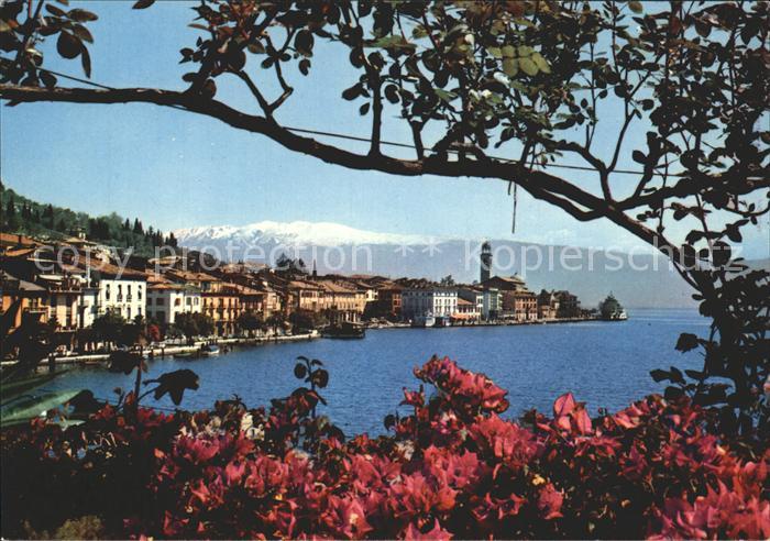 Salo Lago di Garda Panorama Gardasee Blumen