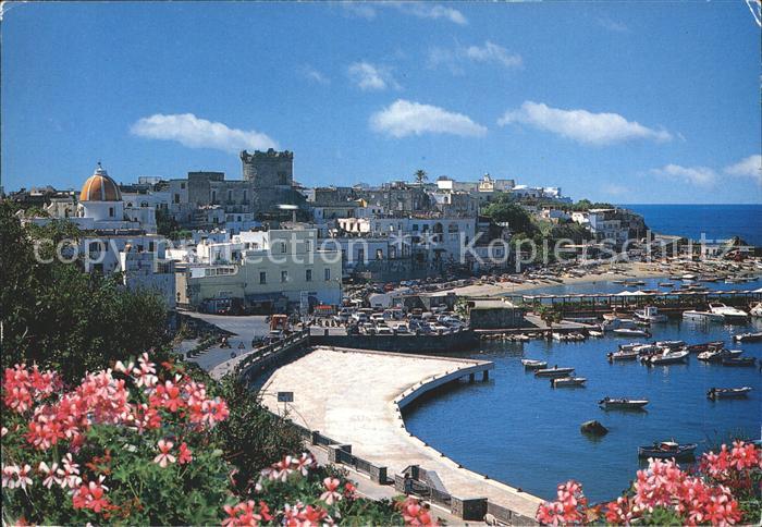 Forio d Ischia Hafen Blumen