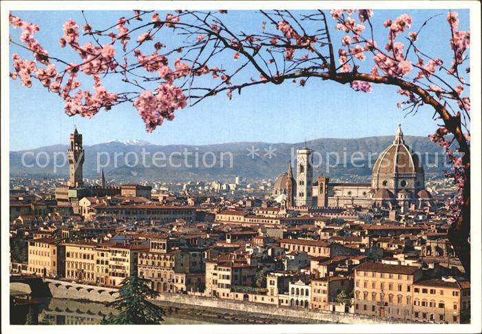 Firenze Florenz Stadtbild mit Kathedrale Santa Maria del Fiore Baumbluete