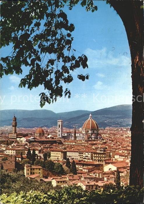 Firenze Florenz Panorama Kathedrale Santa Maria del Fiore