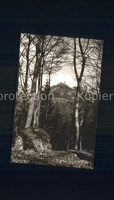 Nuerburg Blick zur Burg