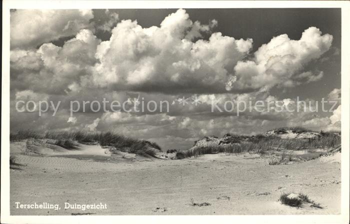 Terschelling Duingezicht
