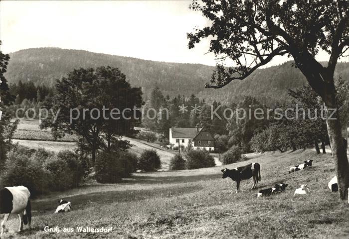Waltersdorf Zittau Gasthaus Sommerfrische Neu Sorge