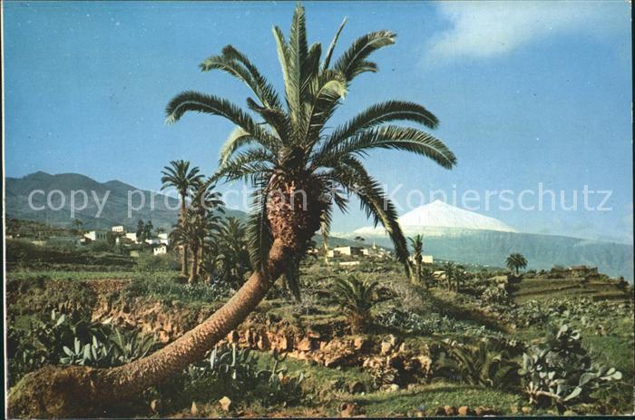 Tenerife El Teide visto desde La Victoria