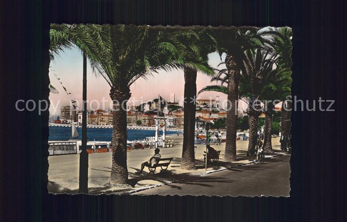 Cannes Alpes-Maritimes Promenade de la Croisette