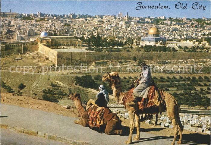 Jerusalem Yerushalayim Old City Kamelreiter