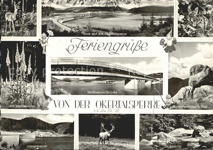 Okertalsperre mit Weisswasserbruecke Hauptmauer Okertal Rehwild