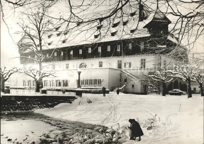 Konstanz Bodensee Winteridyll am See