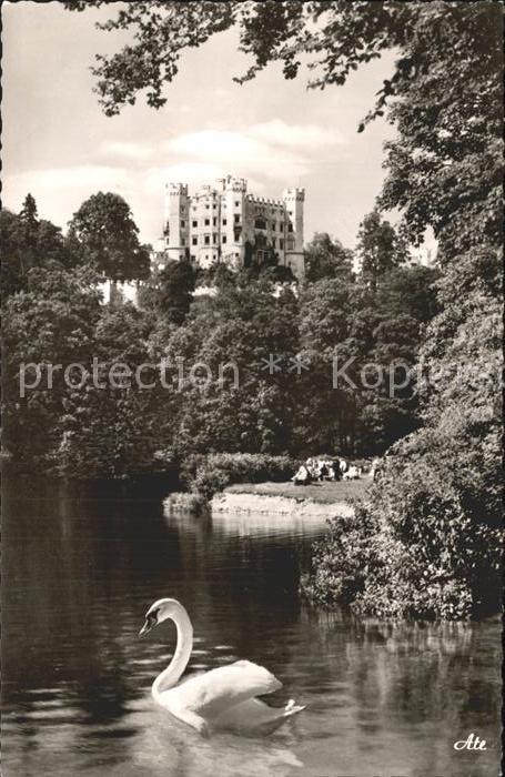 Hohenschwangau Schloss Alpsee Schwan