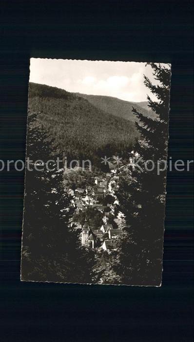 Bad Liebenzell Blicks ins Tal Schwarzwald