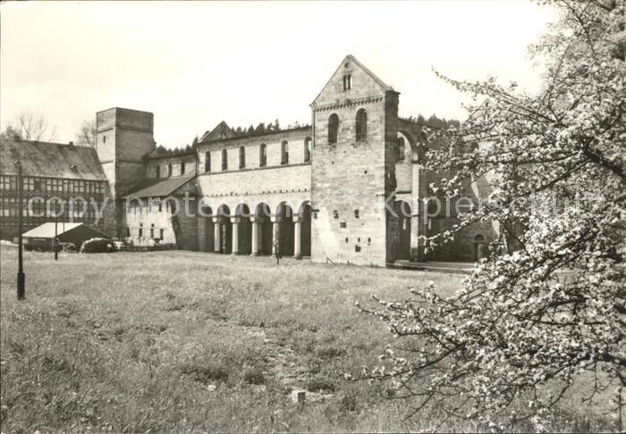 Paulinzella Klosterruine Baumbluete