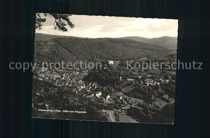 Schwarzburg Thueringer Wald Panorama Blick vom Trippstein