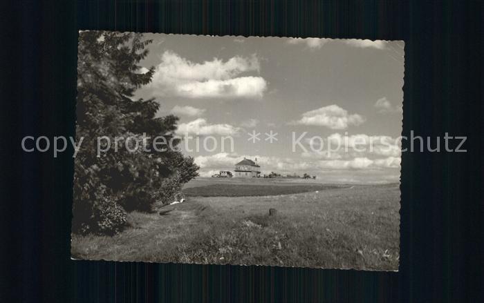 Satzung Hirtstein Baude