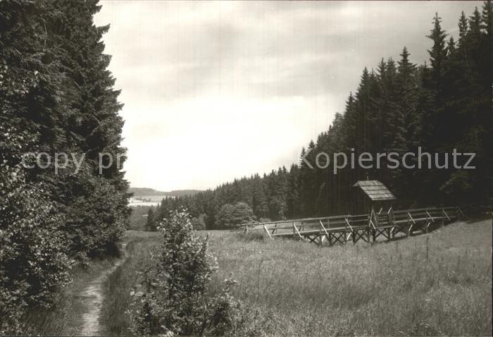 Bad Brambach Sorgebachtal Landschaft