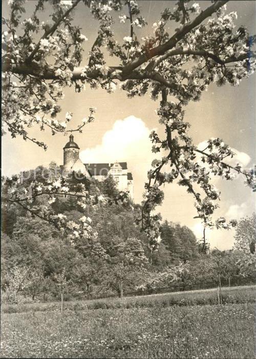 Ranis Burg Baumbluete