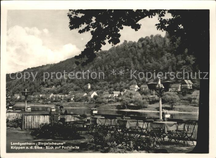 Krippen Bad Schandau Landgasthaus Ziegelscheune Elbe Blick auf Postelwitz