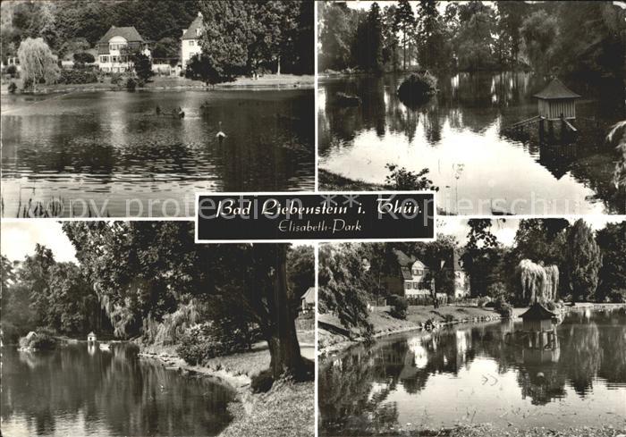 Bad Liebenstein Elisabeth Park Schwanenteich