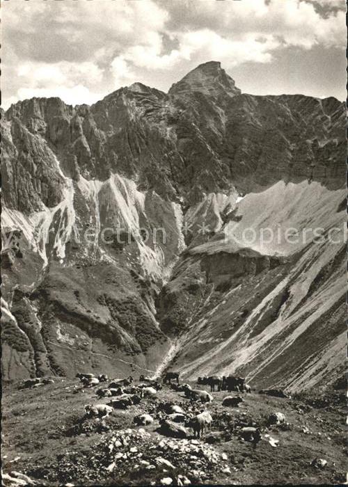 Hinterstein Bad Hindelang Blick vom Laufbacheck zum Hochvogel Allgaeuer Alpen Al