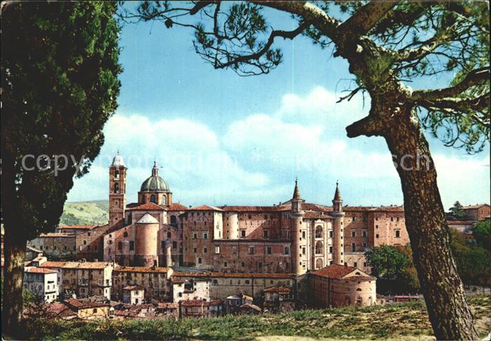 Urbino Dom und Palazzo Ducale