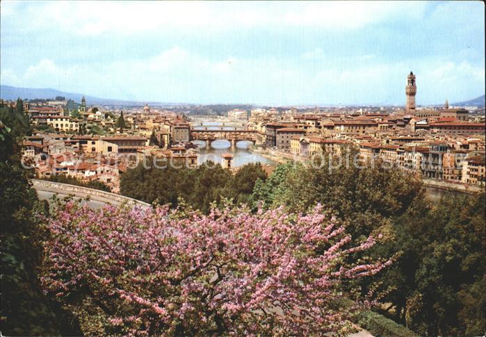Firenze Florenz Panorama Baumbluete