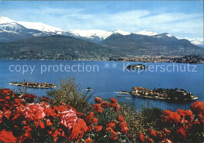 Isole Borromee Lago Maggiore Panorama Alpen Blumen