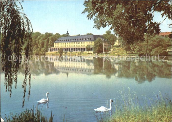 Bad Salzungen Kurhaus am Burgsee Schwaene