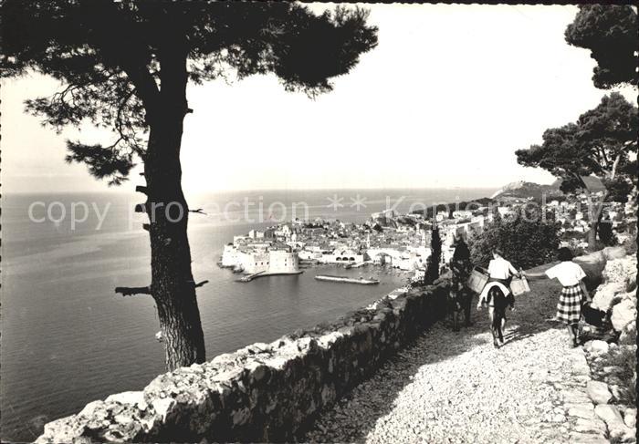 Dubrovnik Ragusa Hafenpartie Panorama