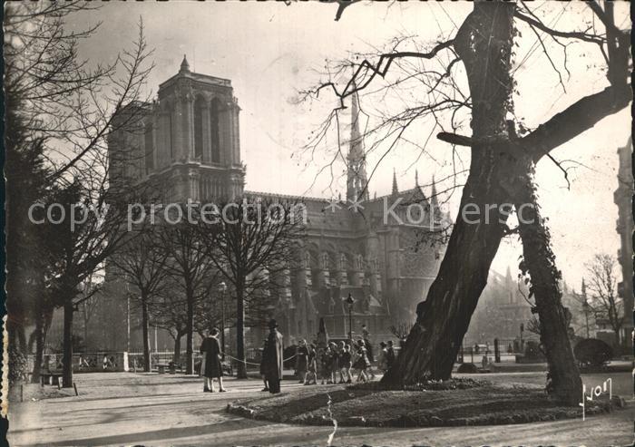 Paris Notre Dame vue du Square Viviani